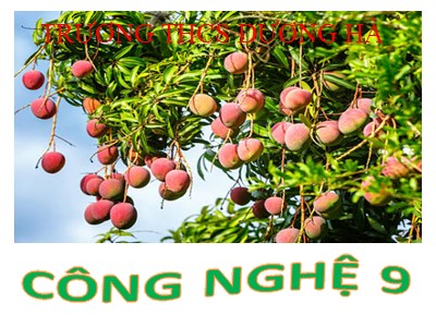Bài giảng Công nghệ Lớp 9 - Tiết 23, Bài 13: Thực hành Trồng cây ăn quả - Trường THCS Dương Hà