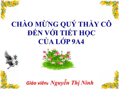 Bài giảng Đại số 9 - Tiết 16: Ôn tập chương I (Tiếp) - Nguyễn Thị Ninh