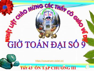 Bài giảng Đại số 9 - Tiết 43: Ôn tập chương III - Trường PTDTBT THCS Sơn Hải