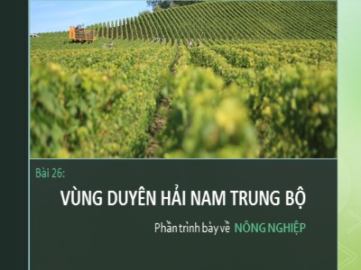 Bài giảng Địa lí Lớp 9 - Bài 26: Vùng Duyên hải Nam Trung Bộ - Nông nghiệp
