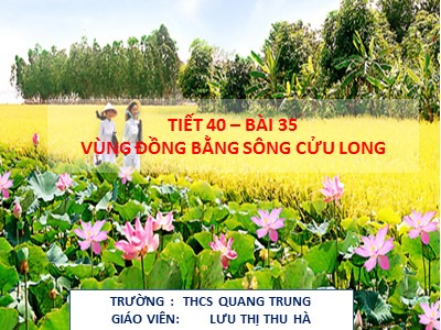 Bài giảng Địa lí Lớp 9 - Tiết 40, Bài 35: Vùng Đồng bằng sông Cửu Long - Lưu Thị Thu Hà