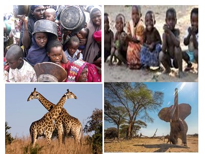 Bài giảng Lịch sử Lớp 9 - Tuần 7 - Tiết 7, Bài 6: Các nước châu Phi
