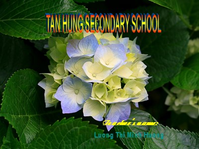 Bài giảng môn Tiếng Anh Lớp 9 - Unit 7 Recipes and eating habits - Lesson 5: Skills 1 - Lương Thị Minh Hương