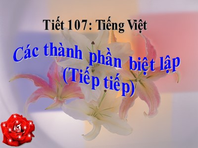Bài giảng Ngữ văn Lớp 9 - Tiết 107: Tiếng Việt Các thành phần biệt lập (tiếp theo)