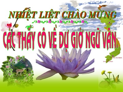 Bài giảng Ngữ văn Lớp 9 - Tiết 95: Tiếng Việt Các thành phần biệt lập