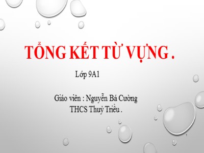 Bài giảng Ngữ văn Lớp 9 - Tổng kết từ vựng - Nguyễn Bá Cường