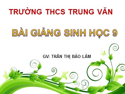 Bài giảng Sinh học Lớp 9 - Bài 24: Đột biến số lượng nhiễm sắc thể (tiếp theo) - Trần Thị Bảo Lâm