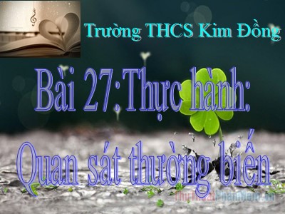 Bài giảng Sinh học Lớp 9 - Bài 27: Thực hành Quan sát thường biến - Trường THCS Kim Đồng
