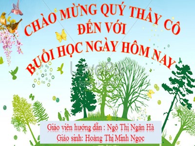 Bài giảng Sinh học Lớp 9 - Bài 53: Tác động của con người đối với môi trường - Hoàng Thị Minh Ngọc