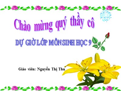 Bài giảng Sinh học Lớp 9 - Bài 9: Nguyên phân - Nguyễn Thị Thu