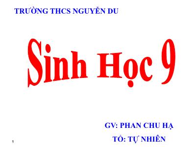 Bài giảng Sinh học Lớp 9 - Tiết 10, Bài 9: Nguyên Phân - Phan Chu Hạ