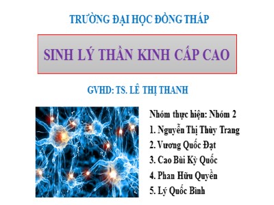 Bài giảng Sinh lý thần kinh và cấp cao - Nguyễn Thị Thùy Trang