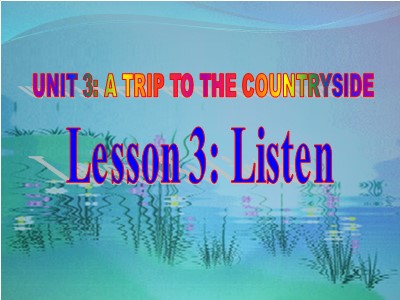 Bài giảng Tiếng Anh Lớp 9 - Unit 3: A trip to the countryside - Lesson 3: Listen