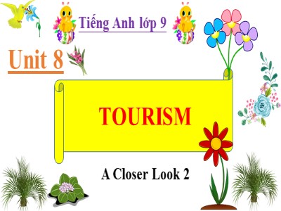 Bài giảng Tiếng Anh Lớp 9 - Unit 8: Tourism - Lesson 3: A closer look 2