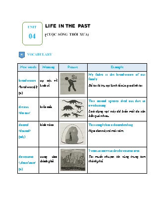 Bài tập ôn luyện môn Tiếng Anh Lớp 9 - Unit 4: Life in the past