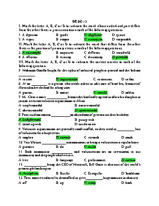 Đề thi trắc nghiệm môn Tiếng Anh Lớp 9 - Đề số 12 (Dành cho giáo viên - Có đáp án)