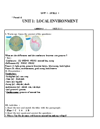 Giáo án Tiếng Anh Lớp 9 - Unit 1: Local environment - Lesson 5: Skills 1