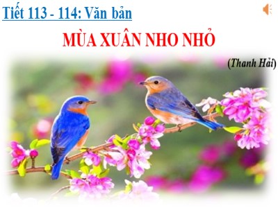 Bài giảng Ngữ văn Lớp 9 - Tiết 113+114: Văn bản: Mùa xuân nho nhỏ (Thanh Hải)