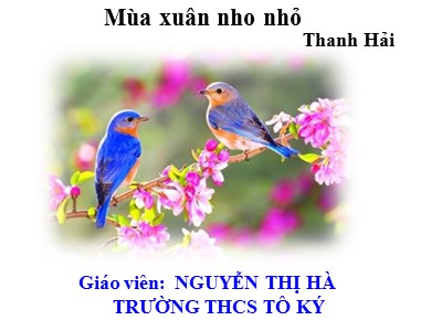 Bài giảng Ngữ văn Lớp 9 - Văn bản: Mùa xuân nho nhỏ (Thanh Hải) - Nguyễn Thị Hà