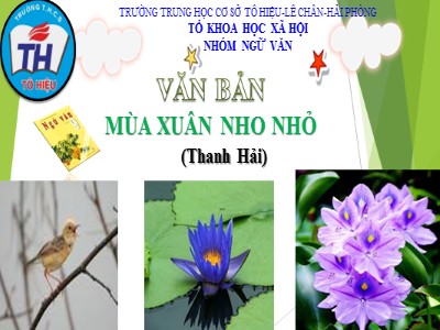 Bài giảng Ngữ văn Lớp 9 - Văn bản: Mùa xuân nho nhỏ (Thanh Hải) - Trường THCS Tô Hiệu