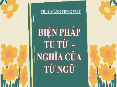 Bài giảng Ngữ văn Lớp 9 - Thực hành tiếng Việt: Biện pháp tu từ. Nghĩa của từ ngữ