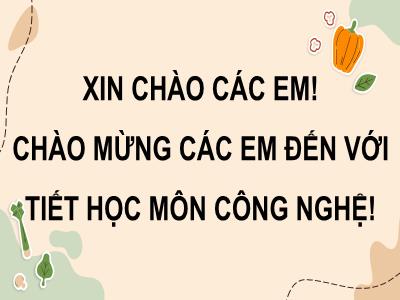 Bài giảng Công nghệ 9 (Kết nối tri thức với cuộc sống) - Tiết 22-26, Bài 2: Lựa chọn và bảo quản thực phẩm - Nguyễn Thị Lan Hương