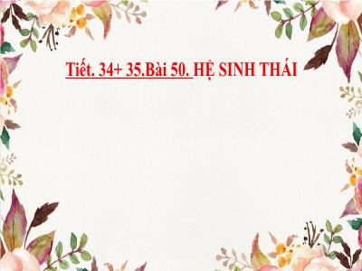 Bài giảng Khoa học tự nhiên 9 (Sinh học) Sách Kết nối tri thức - Tiết 34+35, Bài 50: Hệ sinh thái