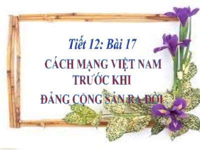 Bài giảng Lịch sử 9 - Tiết 12, Bài 17: Cách mạng Việt Nam trước khi Đảng Cộng sản ra đời - Trường THCS Xương Giang