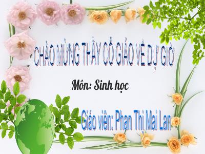 Bài giảng Sinh học 9 (Kết nối tri thức) - Chủ đề 9: Con người, dân số và môi trường - Tiết 51, Bài 53: Tác động của con người đối với môi trường - Phan Thị Mai Lan